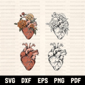 Anatomical Heart SVG PNG, Floral Human Heart with Flowers, Medical Heart Drawing, Cricut Cut Files, Tattoo Gothic Heart Sublimation Design