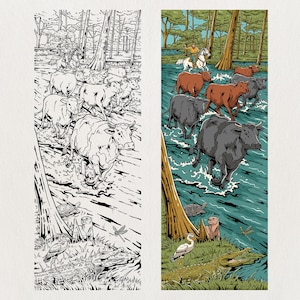 May include: An illustration depicting cattle being driven through a river, with a cowboy on horseback in the background. The artwork presents a colour version alongside a black and white version. The colour version shows the cattle in shades of brown and grey.