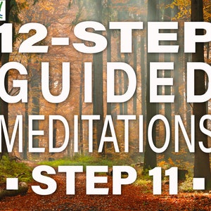 May include: Image with text: "12-STEP GUIDED MEDITATIONS STEP 11." The background is a forest scene with tall trees and autumn foliage. The text is in large, white, bold letters, with the logo "HW" in the upper left corner.