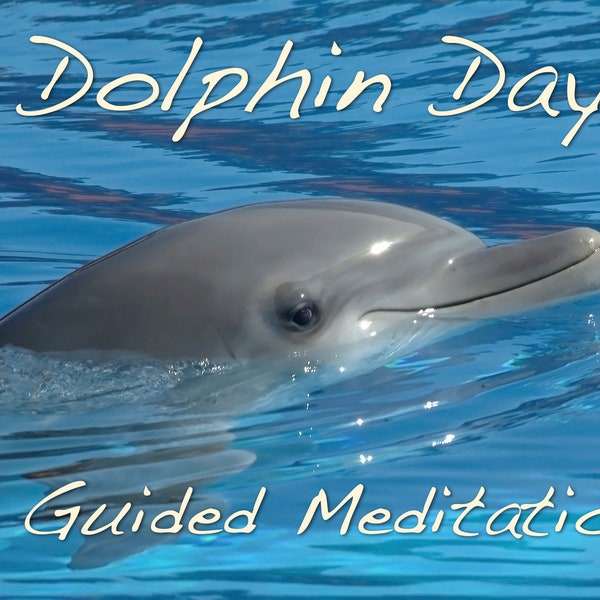 Dolphin Day / Guided Meditation MP3 / Soothing Guided Imagery / Stress Release / Peaceful Guided Imagery