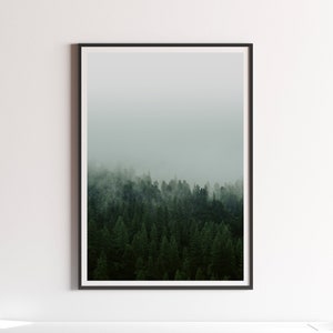 poster forest Mystic