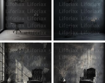 24 Premium Photoshop Digital Overlays for Maternity Wedding Photography: Black Fine Arts Texture, Old Master Studio Backdrops Background