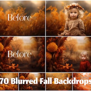 70 Blurred Fall Portrait Backdrops for Photoshop, Digital Autumn Photo Editing Backgrounds, Defocused Background Orange and Yellow Leaves