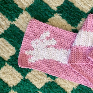 PDF Bunny Scarf Crochet Pattern Cute Easy Beginner Project Handmade Gift Idea Rabbit Hare Guinea Pig Accessory Shawl Autumn Winter image 4