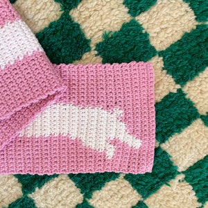 PDF Bunny Scarf Crochet Pattern Cute Easy Beginner Project Handmade Gift Idea Rabbit Hare Guinea Pig Accessory Shawl Autumn Winter image 5