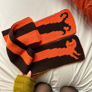 May include: A knitted scarf in orange and brown, with a cat motif. The scarf has alternating stripes of orange and brown, and a black cat silhouette at each end. The scarf is made from a soft, textured yarn.