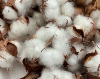 178g Dried Natural Cotton Heads, Cotton Ball, Real White Cotton Buds, Loose, Craft Supply, Dried flowers for crafts