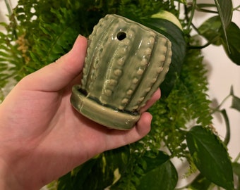 Small Cactus Essential Oil Burner, Aromatherapy Burner, Ceramic Natural Burner for Essential Oils