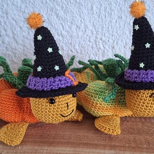 Puede incluir: Dos tortugas de calabaza de crochet que llevan sombreros de bruja negros con ribetes morados y blancos y tallos de hojas verdes. Los sombreros tienen estrellas blancas.