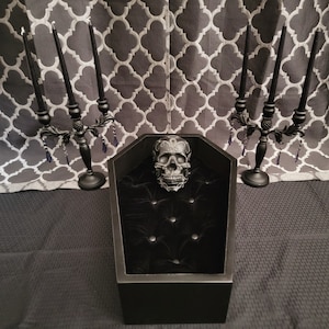Coffin Pet Bed