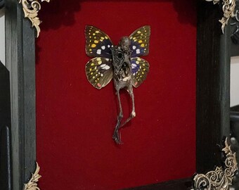 Forest Fairy Brown Spotted Wings