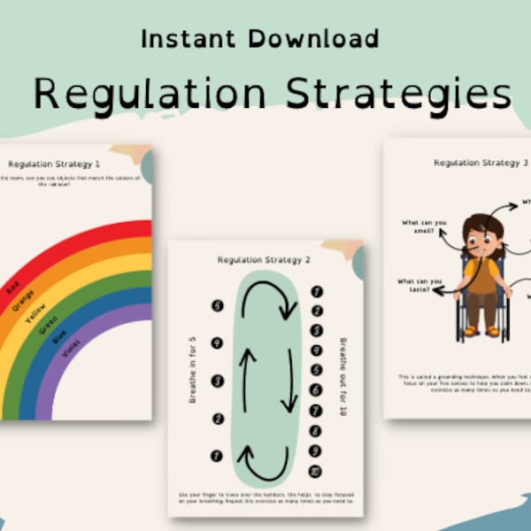 Zones of Regulation Posters - Etsy
