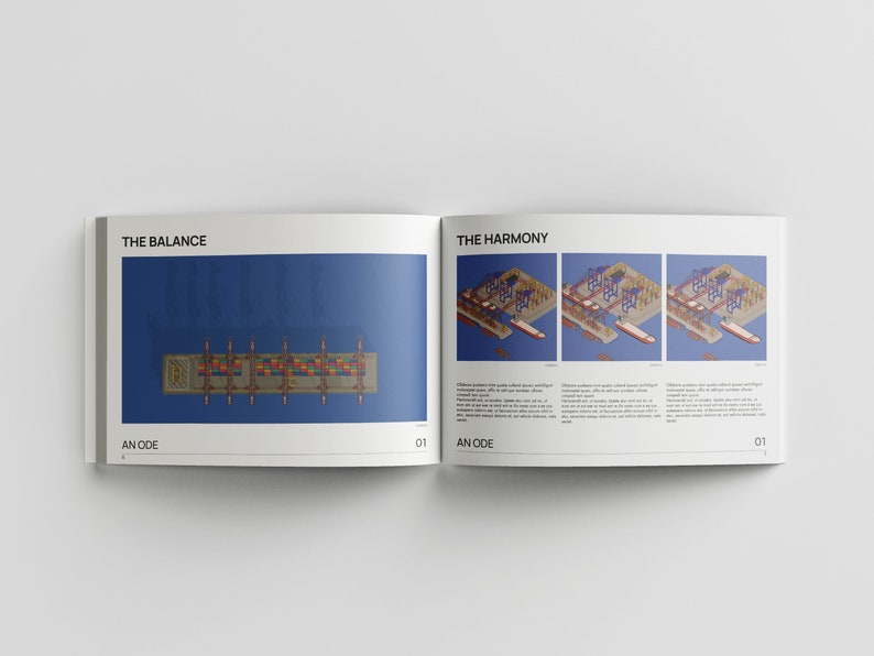 May include: A book with a blue background and the text "THE BALANCE" and "THE HARMONY" on the cover. The book features illustrations of a container ship and cranes in a harbor.