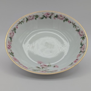 Rare Antique Haviland & Co Limoges French Porcelain Coupe Cereal Bowl - &quot;The Amstel&quot; Pattern (Schleiger 497a)