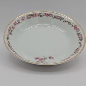 Rare Antique Haviland & Co Limoges French Porcelain Coupe Soup Bowl - &quot;The Amstel&quot; Pattern (Schleiger 497a)