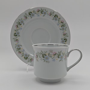 Vintage Johann Haviland &quot;Forever Spring&quot; China - Flat Cup and Saucer Set - Made in Bavaria, Germany