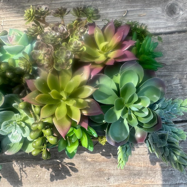 Faux Succulent Arrangement - Etsy