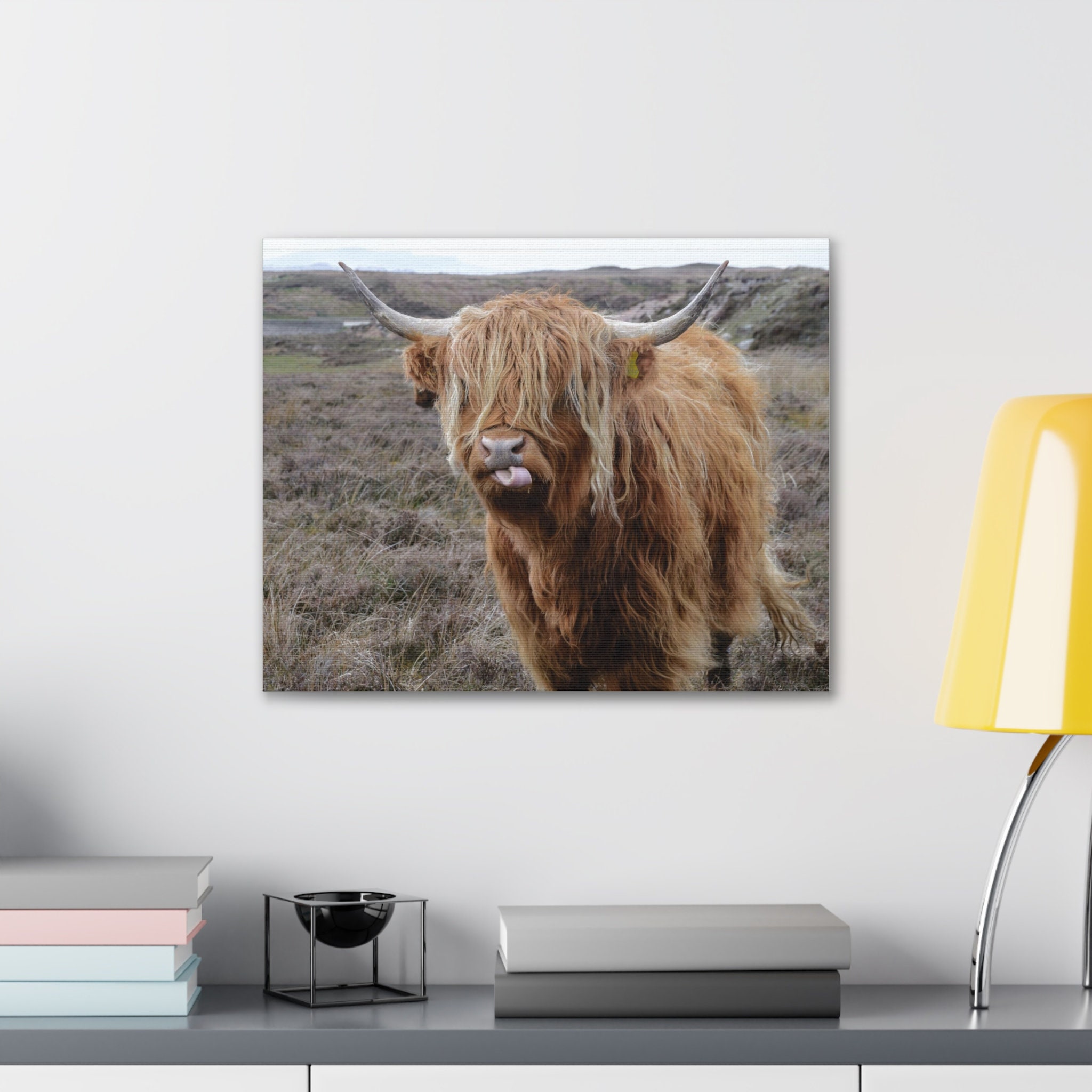 Highland Cow Print Cow Lover Highland Cow Canvas Wall Print Scottish