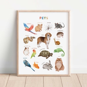 Pets Animals, Educational Printable Wall Art, Learning Home School, Preschool Poster, Nursery Classroom Decor,Animals Print,Digital Download