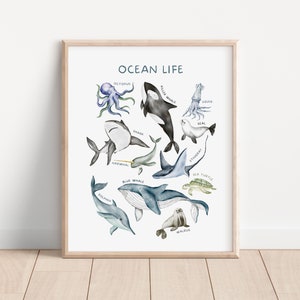 Póster de animales del océano, decoración de pared para niños, impresión educativa, impresiones de aprendizaje para salas de juegos, decoración de educación en el hogar, arte de pared para guardería, descarga digital