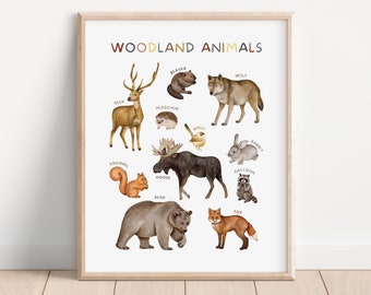 Póster de animales del bosque, póster educativo, decoración neutra para sala de juegos, impresiones de aprendizaje para sala de juegos, guardería con temática del bosque, descarga digital