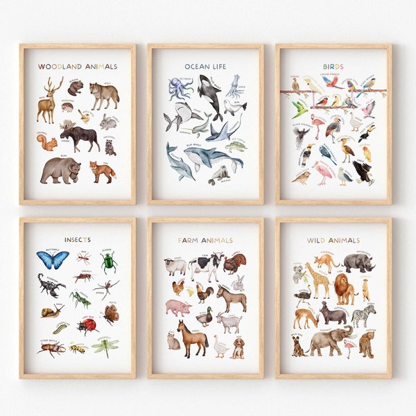 Set of 6 Educational Posters, Farm Animals Poster, Nursery Classroom Decor, Kids Animal Posters, Playroom Learning Prints, Digital Download