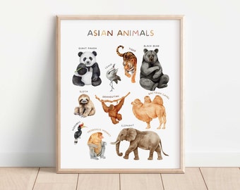 Póster de animales asiáticos, decoración de pared para niños, impresión educativa, impresiones de aprendizaje en sala de juegos, decoración de escuela en el hogar, arte de pared de guardería, descarga digital