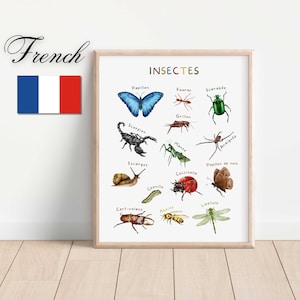 Educational Bugs Poster French Edition, Insects Print, Kids Wall Decor, Playroom Learning Prints, Nursery Homeschool Decor, Digital Download