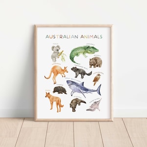 Australian Animals Poster, Kids Wall Decor,Educational Print, Playroom Learning Prints, Homeschool Decor, Nursery Wall Art, Digital Download
