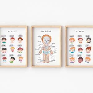 Body Parts Poster, Kids Wall Decor, Educational Print, Body Parts Nursery, Playroom Learning Prints, Homeschool Decor, Digital Download