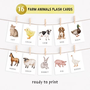 16 Farm Animals Cards, Preschool Learning Materials, Montessori flash cards, Domestic Animals, Educational Printable Cards, Digital Download