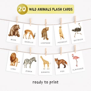 20 Wild Animals Cards, Preschool Learning Materials, Montessori flash cards, Domestic Animals, Educational Printable Cards, Digital Download