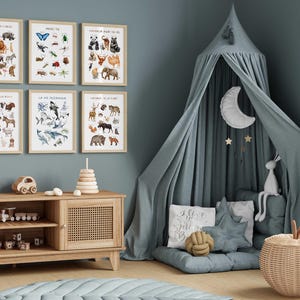 May include: Six framed animal prints with illustrations of various animals, insects, and sea creatures hang on a teal wall. A wooden cabinet with toys and a play tent with a moon and stars are in the room. A woven basket shaped like an apple is on the floor.