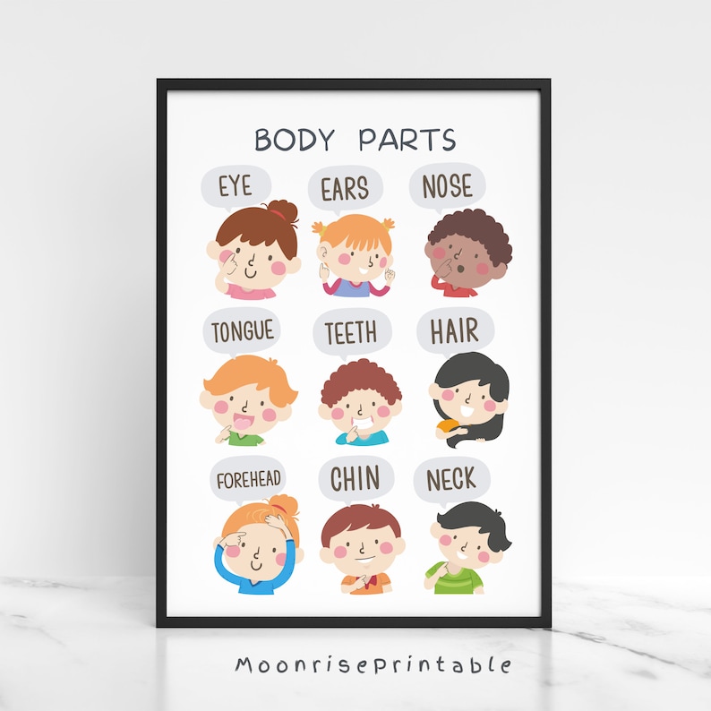 Body Parts Poster, Kids Wall Decor, Educational Print, Body Parts ...
