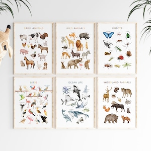 Op de afbeelding: Zes ingelijste educatieve posters met kleurrijke illustraties van verschillende diercategorie&euml;n: boerderijdieren, wilde dieren, insecten, vogels, zeeleven en bosdieren. Elke poster toont een verscheidenheid aan dieren met hun namen eronder.