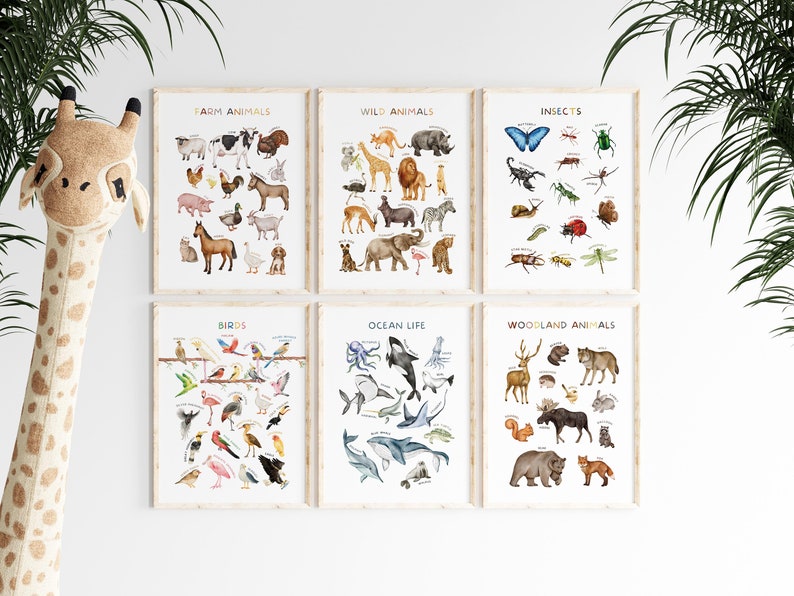 Op de afbeelding: Zes ingelijste educatieve posters met kleurrijke illustraties van verschillende diercategorie&euml;n: boerderijdieren, wilde dieren, insecten, vogels, zeeleven en bosdieren. Elke poster toont een verscheidenheid aan dieren met hun namen eronder.