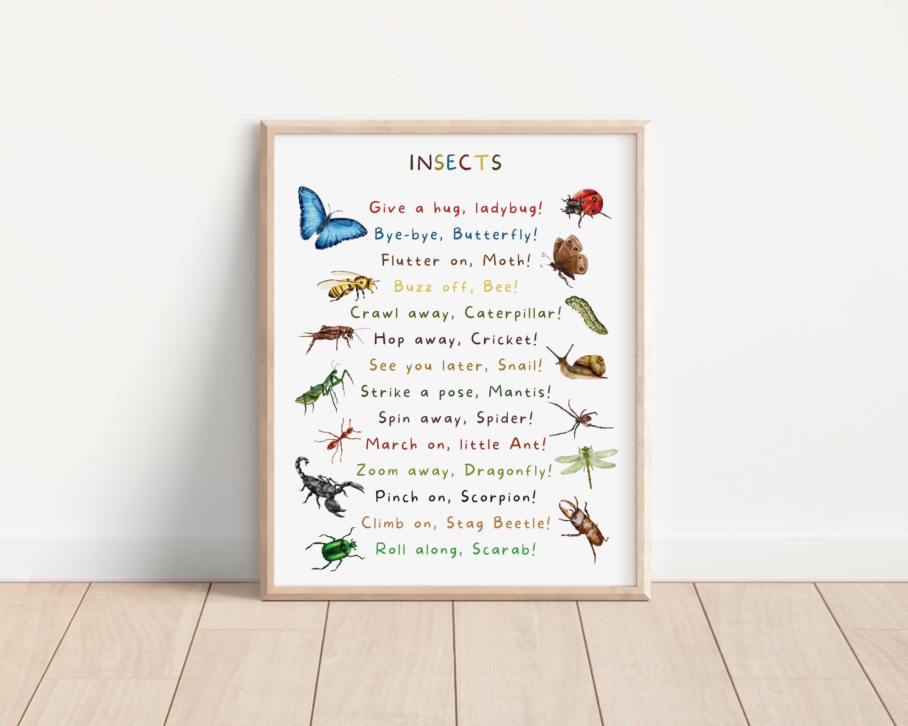 Hug Ladybug Insect Give a Hug Ladybug, Educational Bugs Poster, Insects Print, Kids Wall ...