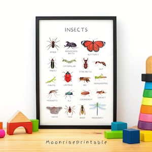 Póster educativo sobre insectos, edición en francés, impresión de insectos, decoración de pared para niños, impresiones de aprendizaje para la sala de juegos, decoración de la escuela en casa, descarga digital