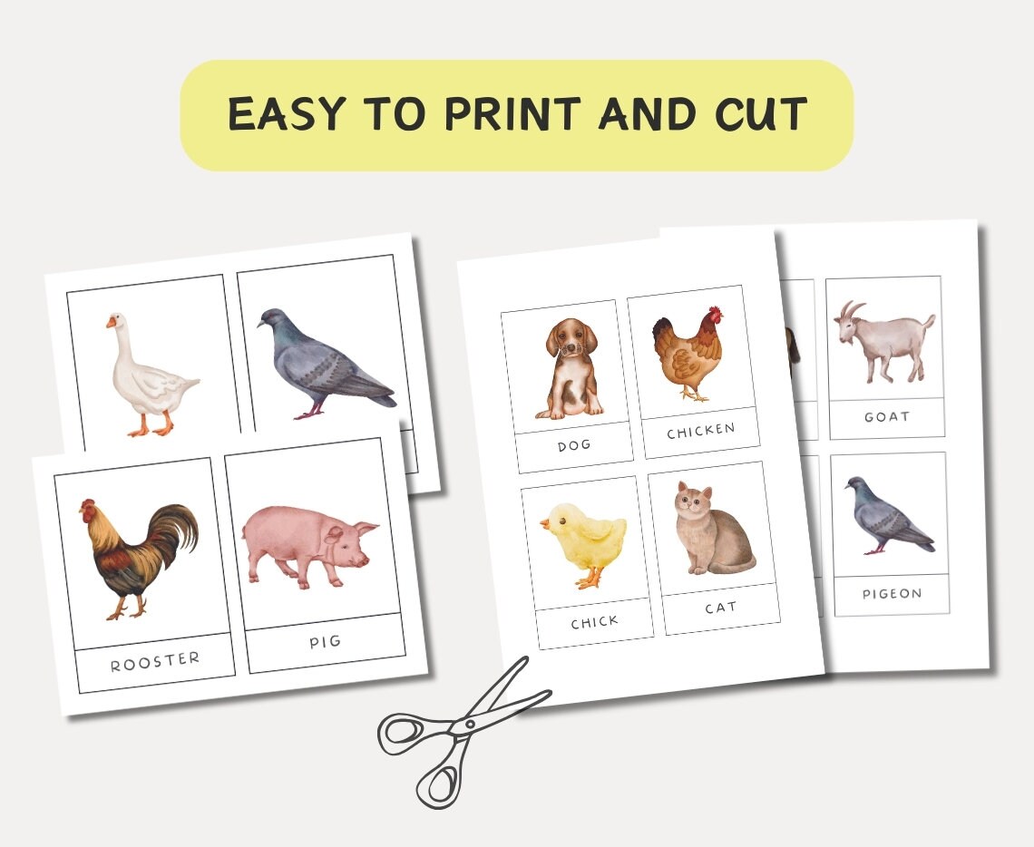 16 Farm Animals Cards, Preschool Learning Materials, Montessori Flash ...