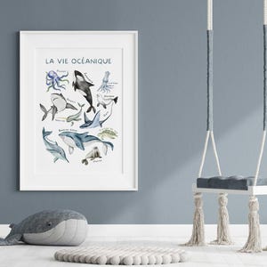 May include: A framed watercolor print titled "LA VIE OC&Eacute;ANIQUE" featuring various marine animals, including an octopus, orca, and shark. A plush whale and a swing with tassels are in the foreground.