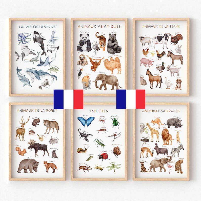 May include: Six framed educational posters with watercolor illustrations of animals. The posters are labeled in French and feature marine life, Asian animals, farm animals, forest animals, insects, and wild animals.