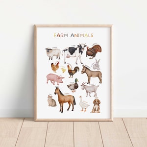 Op de afbeelding: Een witte poster met de titel "FARM ANIMALS" in bruin en gele tekst. De poster toont illustraties van boerderijdieren, waaronder een schaap, een koe, een kalkoen, een kip, een haan, een varken, een eend, een geit, een paard, een gans en een hond. Elk dier is gelabeld met zijn naam.