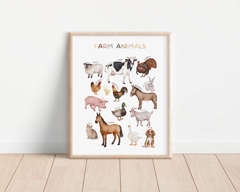 Op de afbeelding: Een witte poster met de titel "FARM ANIMALS" in bruin en gele tekst. De poster toont illustraties van boerderijdieren, waaronder een schaap, een koe, een kalkoen, een kip, een haan, een varken, een eend, een geit, een paard, een gans en een hond. Elk dier is gelabeld met zijn naam.