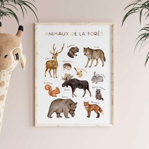 May include: A framed print featuring watercolor illustrations of forest animals, including a deer, bear, and fox. The title "ANIMAUX DE LA FOR&Ecirc;T" is displayed in colorful letters at the top. A giraffe head toy is in the foreground.