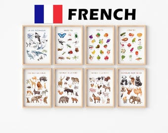 May include: Eight framed educational posters with watercolor illustrations. The posters are labeled in French and depict marine life, insects, fruits, vegetables, wild animals, forest animals, farm animals, and Asian animals.