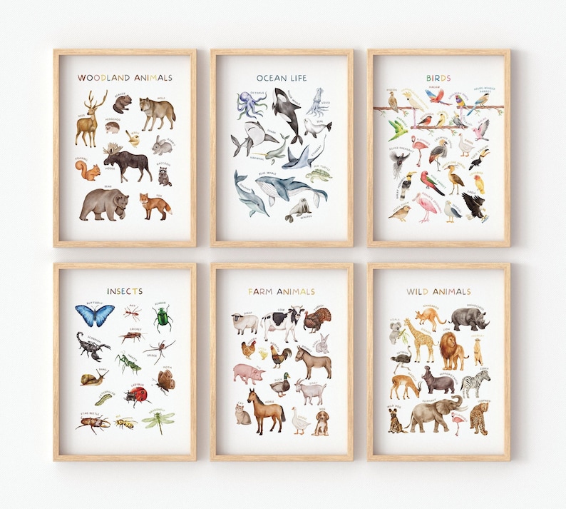 Op de afbeelding: Zes ingelijste prints met aquarel illustraties van verschillende diercategorie&euml;n. De prints zijn getiteld "Bosdieren", "Zeeleven", "Vogels", "Insecten", "Boerderijdieren" en "Wilde dieren".