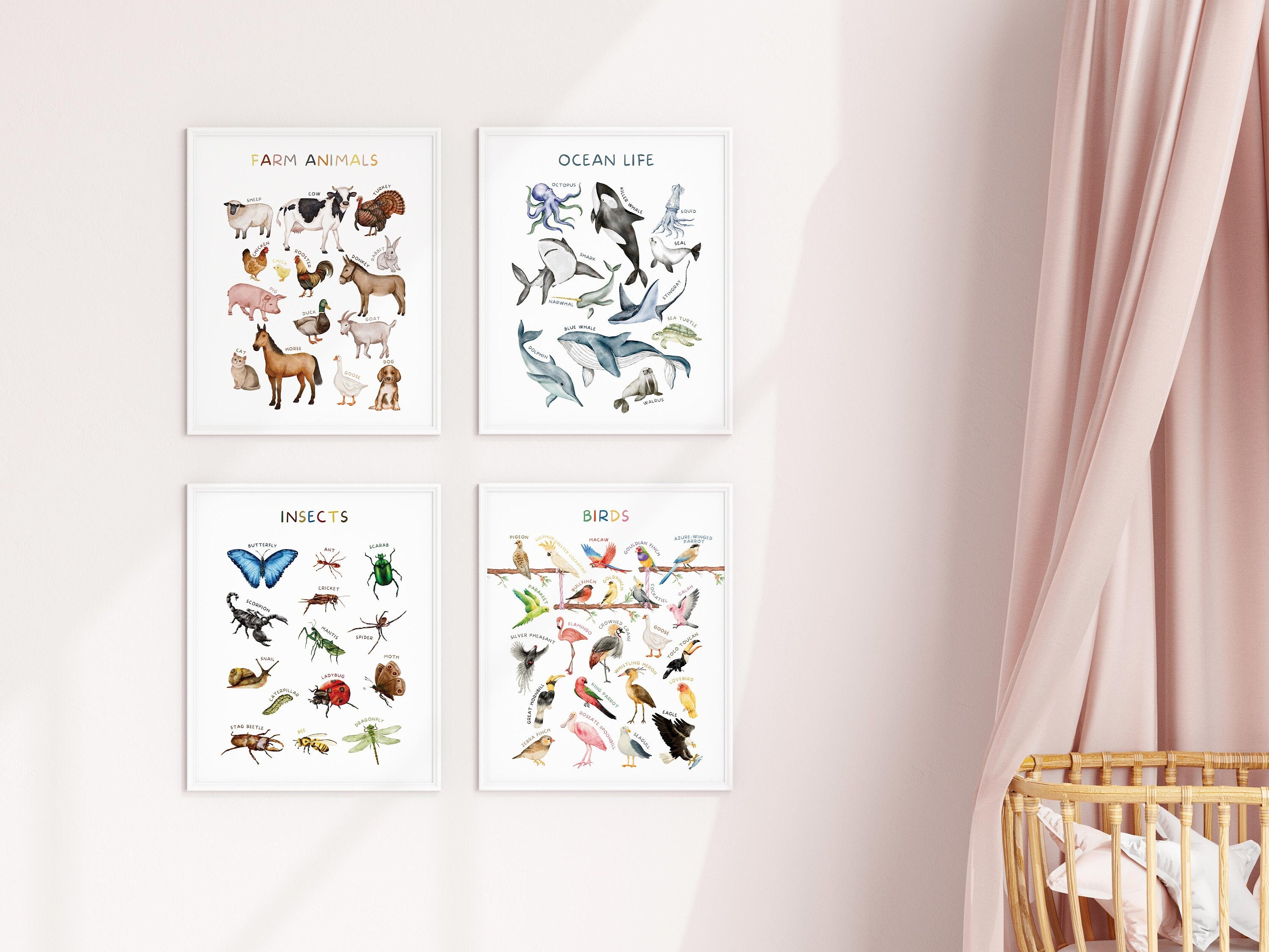 Set of 4 Educational Posters, Farm Animals Poster, Nursery Classroom ...