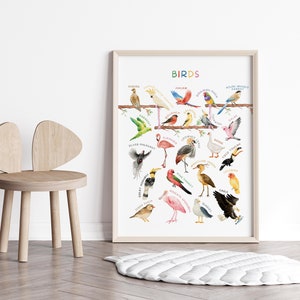 Op de afbeelding: Een kleurrijke educatieve poster met verschillende vogels met hun namen onder elke illustratie. De poster heeft de titel "BIRDS" en is ingelijst in een licht houten lijst.