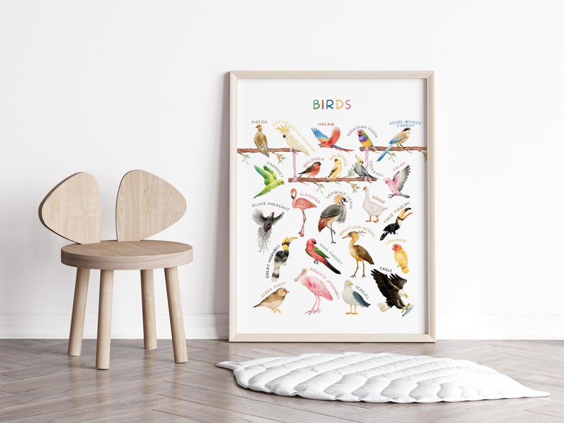 Op de afbeelding: Een kleurrijke educatieve poster met verschillende vogels met hun namen onder elke illustratie. De poster heeft de titel "BIRDS" en is ingelijst in een licht houten lijst.