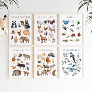 May include: Six framed educational posters featuring watercolor illustrations of animals. The posters are labeled in French with titles such as "Asian Animals," "Farm Animals," "Insects," "Forest Animals," "Wild Animals," and "Ocean Life."